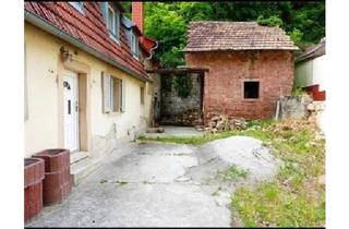 Haus kaufen in 67691 Hochspeyer, Hochspeyer - haus in Wachenheim an der Weinstraße