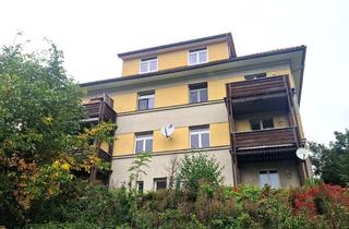 Wohnung mieten in Weinbergstraße 27, 01156 Cossebaude, Tolle Aussicht - hell & gemütlich Wohnen in Dresden-Cossebaude!