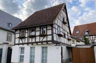 Lofts mieten in Mainzer Str. 19, 65239 Hochheim, Ebenerdige, loftartige 4-ZKB-Wohnung mit Terrasse /Hochheim-Altstadt