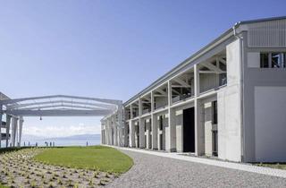 Wohnung mieten in Bodan-Werft 13, 88079 Kressbronn, Wunderschöne Wohnung mit Galerie sucht neuen Mieter!