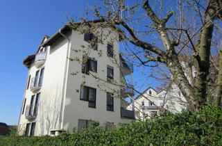 Wohnung mieten in Platanenstrasse, 63505 Langenselbold, Helle 2-Zimmer Wohnung mit großem Balkon in Langenselbold