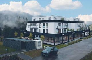 Wohnung mieten in 74855 Haßmersheim, Modernes, zeitloses Architekturdesign