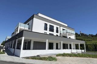 Wohnung mieten in 74855 Haßmersheim, Erstbezug - Modernes, zeitloses Architekturdesign