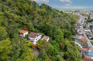 Einfamilienhaus kaufen in 67157 Wachenheim, Einfamilienhaus in idyllischer Waldrandlage mit Panoramablick