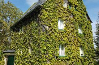 Einfamilienhaus kaufen in 09212 Limbach-Oberfrohna, Schönes, von wildem Wein umwachsenes Haus – keine Schäden, da der Wein sich nur mit Saugnäpfen hält.