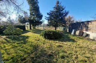 Einfamilienhaus kaufen in 09326 Geringswalde, Wunderschönes Einfamilienhaus mit tollen Grundstück bei Geringswalde