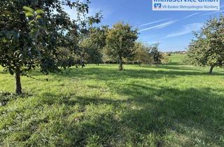 Grundstück zu kaufen in 91207 Lauf, 2 Landwirtschaftliche Fläche: Ein Acker mit fünf Obstbäumen und reiner Obstgarten