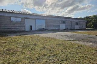 Gewerbeimmobilie mieten in 17209 Altenhof, 1000 m² Lagerhalle/ Produktionsstätte mit großer Freifläche