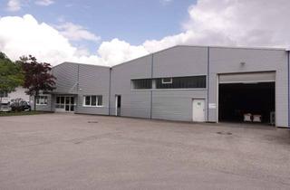 Gewerbeimmobilie mieten in 85748 Garching, Großhandel / Produktion / Lager in Garching- PROVISIONSFREI IM ALLEINAUFTRAG - WFC Immobilien