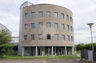 Gewerbeimmobilie mieten in Industriestraße 16, 97483 Eltmann, Neubau Lager- und Produktionshallen / Direkt BAB 70