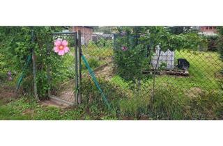 Grundstück zu kaufen in 63762 Großostheim, * seit 1992 IMMO-ZAHN * Garten-Grundstück in schöner Ortsrandlage mit Gartenhäuschen & Gewächshaus *