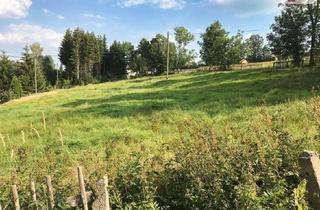 Grundstück zu kaufen in Niederer Weg, 09456 Annaberg-Buchholz, Ihr Traum vom Eigenheim - Baugrundstück in Mildenau OT Arnsfeld!