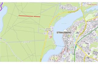 Grundstück zu kaufen in Finkenweg, 15344 Strausberg, ✨zwei Wald Flurstücke in der Nähe von Straußberg ✨
