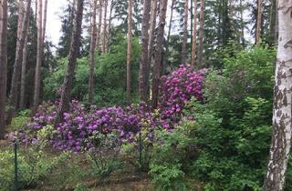 Grundstück zu kaufen in 29690 Lindwedel, Besondere Gelegenheit pos. Bauvoranfrage - Lindwedel /direkt