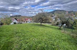 Grundstück zu kaufen in 77815 Bühl, Großzügiges Baugrundstück in toller Lage mit Panorama-Ausblick: Ihr Traumhaus in Bühl / Neusatz!