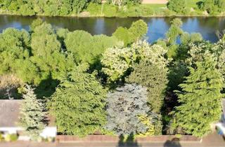 Grundstück zu kaufen in 63533 Mainhausen, albero:) direkt am Main