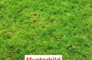 Grundstück zu kaufen in 63571 Gelnhausen, Großes Baugrundstück mit Altbestand in Top-Lage von Gelnhausen