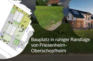 Grundstück zu kaufen in 77948 Friesenheim, Ihr Platz zum Ankommen – Baugrundstück in idyllischer Ortsrandlage von Oberschopfheim