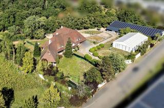 Immobilie kaufen in 68766 Hockenheim, Exklusives Reitanwesen