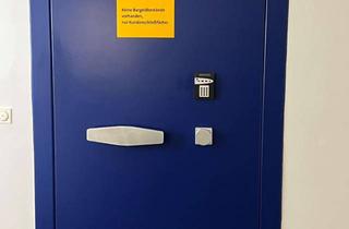 Immobilie mieten in 95111 Rehau, Begehbarer Safe mit Schließfächern und diversen Tresoren für den privaten Gebrauch