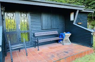 Gewerbeimmobilie kaufen in 66957 Trulben, Wochenendgrundstück mit Hütte in idyllischer Waldrandlage - Eppenbrunn (Imsbach)