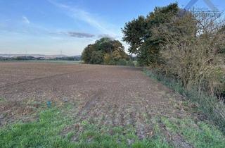 Grundstück zu kaufen in 32278 Kirchlengern, Landwirtschaftliche Fläche (u.a.) in Kirchlengern-Häver - Holzmann Immobilien