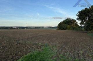 Grundstück zu kaufen in 32278 Kirchlengern, Landwirtschaftliche Fläche (u.a.) in Kirchlengern-Häver - Holzmann Immobilien