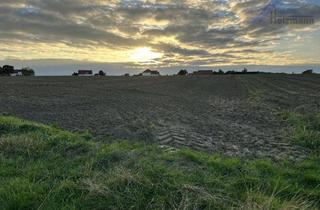 Grundstück zu kaufen in 32278 Kirchlengern, Landwirtschaftliche Fläche (u.a.) in Kirchlengern-Häver - Holzmann Immobilien