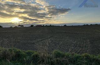 Grundstück zu kaufen in 32278 Kirchlengern, Landwirtschaftliche Fläche (u.a.) in Kirchlengern-Häver - Holzmann Immobilien