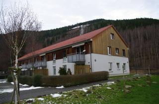 Wohnung mieten in Am Pfennigsteich 22, 38642 Goslar, Gepflegte 2-Raum-Wohnung mit Terrasse in Goslar