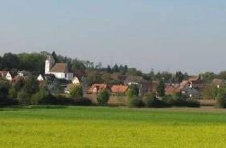 Wohnung mieten in 79426 Buggingen, Helle Einliegerwohnung - Bitte schriftlich melden -