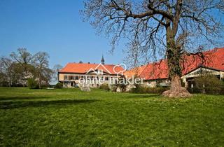 Wohnung mieten in 38173 Lucklum, Modern, individuell und mit einem großartigen Blick in den Gutspark auf dem Rittergut Lucklum