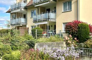 Wohnung mieten in Matthias-Erzberger-Straße 25, 88074 Meckenbeuren, Helle, ruhige 2-Zimmer Wohnung in Meckenbeuren, 1. OG,