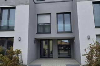 Wohnung mieten in 74366 Kirchheim, Neubauwohnung in Kirchheim
