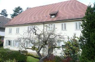 Mehrfamilienhaus kaufen in 76593 Gernsbach, Historisches, älteres Mehrfamilienhaus und zwei Baugrundstücken in 76593 Gernsbach