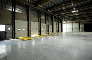 Gewerbeimmobilie mieten in 50858 Junkersdorf, Moderne Gewerbeimmobilie im Kölner Westen