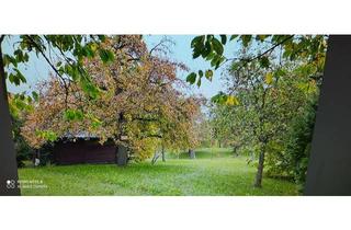 Grundstück zu kaufen in Hasenberg 1000, 72770 Reutlingen, Wochenendgrundstück mit Gartenhaus , Obstbäumen