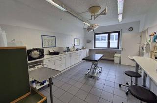 Praxen mieten in 67112 Mutterstadt, Tierarztpraxis und Wohnen in einem Gebäude