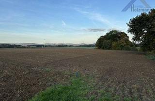 Gewerbeimmobilie kaufen in 32278 Kirchlengern, Landwirtschaftliche Fläche (u.a.) in Kirchlengern-Häver - Holzmann Immobilien