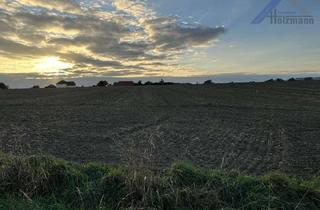 Gewerbeimmobilie kaufen in 32278 Kirchlengern, Landwirtschaftliche Fläche (u.a.) in Kirchlengern-Häver - Holzmann Immobilien