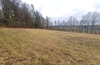 Gewerbeimmobilie kaufen in 92281 Königstein, schön gelegenes Grundstück für Freizeit- Land- Forstwirtschaft bei Kappelberg