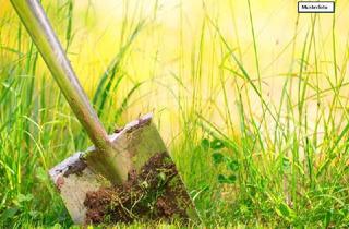 Grundstück zu kaufen in 76768 Berg, Grundstück in 76768 Berg, Breitenäcker