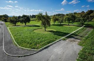Grundstück zu kaufen in 89616 Rottenacker, Grundstück mit Weitblick: Gestalten Sie Ihr Zuhause nach Ihren Wünschen