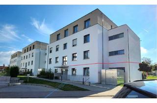 Wohnung kaufen in 79618 Rheinfelden, Smart-Home gesteuerte, neuwertige 4,5-Zimmer-Wohnung mit 1 TG - u. 2 Außenstellplätzen - in Citynähe