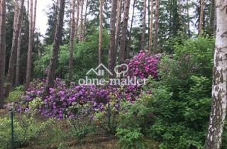 Immobilie kaufen in 29690 Lindwedel, Besondere Gelegenheit pos. Bauvoranfrage - Lindwedel /direkt