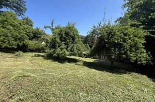 Grundstück zu kaufen in 91245 Hüttenbach, Grundstück leicht geneigt in Simmelsdorf / Hüttenbach