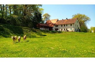 Haus kaufen in 90579 Langenzenn, Langenzenn - Großes Landhaus in Alleinlage, Pferdehaltung möglich