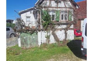 Haus kaufen in 89584 Ehingen, Ehingen (Donau) - Haus in 89584 Mundingen