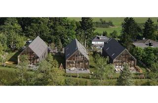 Einfamilienhaus kaufen in 65232 Taunusstein, Modernes Einfamilienhaus mit unverbaubarem Blick – Ruhe, Design und Lebensqualität