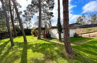 Haus kaufen in 39217 Pretzien, GEHEIMER SCHATZ IM GRÜNEN MEER DER BÄUME